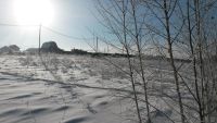 Лот: 6788971. Фото: 6. Участок в старцево 15 соток 7км...