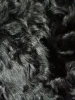 Лот: 24928686. Фото: 3. Шуба каракули р 48-50. Одежда, обувь, галантерея