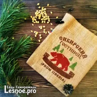 Лот: 6832888. Фото: 6. Ядро кедрового ореха, высший сорт...