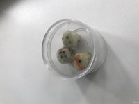 Лот: 14167217. Фото: 2. Кубики игральные каменные, зары... Сувениры, подарки