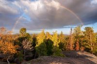 Лот: 10371162. Фото: 7. Nikon d90 body