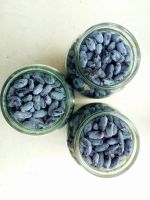 Лот: 11717781. Фото: 2. Жимолость (цена за 3 литра+доставка... Продукты