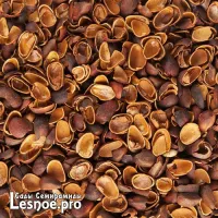 Лот: 23692284. Фото: 5. Кедровый орех, отборный вкусный...