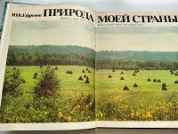 Лот: 25265840. Фото: 4. Природа моей страны Ю.К. Ефремов. Красноярск