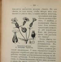 Лот: 15670407. Фото: 6. С.А. Порецкий. Друзья растений...