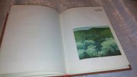 Лот: 6606456. Фото: 2. oz Художники Красноярска, Давыденко... Искусство, культура