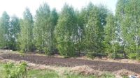 Лот: 25288855. Фото: 6. 1-комн. дача , село Частоостровское...