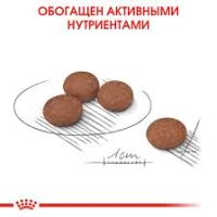 Лот: 19937228. Фото: 2. Корм Royal Canin (Роял Канин... Животные и уход