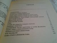 Лот: 5716271. Фото: 5. Белый тапир и другие ручные животные...