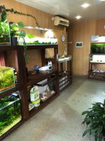 Лот: 25885488. Фото: 12. Продается студия аквариумного...