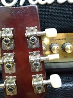 Лот: 18599912. Фото: 2. Гитара SOLO. Музыкальные инструменты