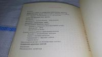 Лот: 11268989. Фото: 3. ок ...Декоративно-прикладное искусство... Литература, книги