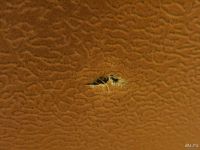 Лот: 9210069. Фото: 6. Диван раскладной