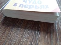 Лот: 12726969. Фото: 4. Татьяна Луганцева: Чудо в перьях...