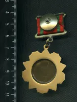 Лот: 25647774. Фото: 2. муляж знака За отличие в воинской... Значки, медали, жетоны