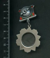 Лот: 25647833. Фото: 2. муляж знака За отличие в воинской... Значки, медали, жетоны
