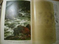 Лот: 10919401. Фото: 10. Кернер фон-Марилаун А. Жизнь растений...
