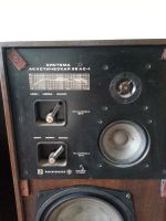 Лот: 10336740. Фото: 2. Система акустическая 35 АС-1 Радиотехника. Радиодетали  (электронные компоненты)