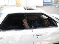 Лот: 1649968. Фото: 3. ed!!! обмен. Красноярск