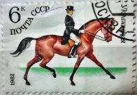 Лот: 12956887. Фото: 4. Марки Фауна. СССР. Лошади. Коневодство...