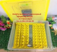 Лот: 11199179. Фото: 3. Бытовой инкубатор Sititek 48 на... Растения и животные