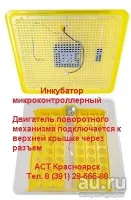 Лот: 11199179. Фото: 5. Бытовой инкубатор Sititek 48 на...