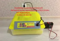 Лот: 11199179. Фото: 12. Бытовой инкубатор Sititek 48 на...
