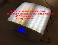 Лот: 11199295. Фото: 10. Цифровой инкубатор Sititek 56...