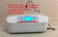 Лот: 11199295. Фото: 6. Цифровой инкубатор Sititek 56...