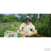 Лот: 18770911. Фото: 4. Сибирский натуральный мёд 3 литра...