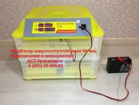 Лот: 11226219. Фото: 6. Бытовой инкубатор для 96 куриных...