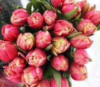 Лот: 15585100. Фото: 2. Тюльпаны Пиони-файер в букете... Цветы, букеты