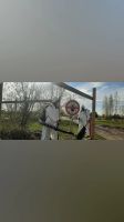 Лот: 22159393. Фото: 3. Обработка от клещей, уничтожение... Услуги