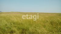 Лот: 25288946. Фото: 5. участок , Красноярск Красноярск...