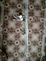 Лот: 11133782. Фото: 2. Лампы неоновые. Освещение