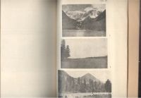 Лот: 21580125. Фото: 5. В.П.Нехорошев. Материалы для геологии...