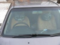 Лот: 6644252. Фото: 5. подушка