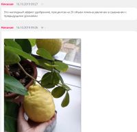 Лот: 14947359. Фото: 6. Японские удобрения Fujima для...
