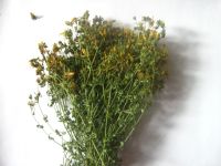 Лот: 16306911. Фото: 2. Зверобой. Продукты