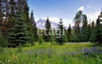 Лот: 25286988. Фото: 12. квартира , Красноярск проспект...