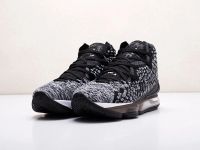 Лот: 17095557. Фото: 2. Кроссовки Nike Lebron XVII (17261... Мужская обувь