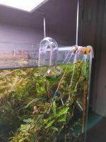 Лот: 13850833. Фото: 4. Дропчекер СО2. Красноярск