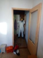 Лот: 18802244. Фото: 3. Уборка квартир от насекомых. Домашний быт