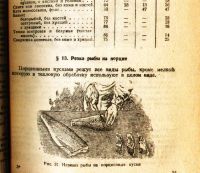 Лот: 19411428. Фото: 19. В.М. Ануфриев, Ф.П. Никашин, Г...
