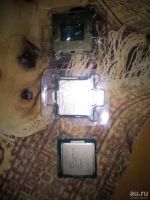 Лот: 8619186. Фото: 2. Процессор Intel® Celeron® Processor... Комплектующие