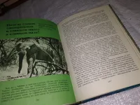 Лот: 21603586. Фото: 12. ок..(1092371)Среди животных Африки...