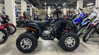 Лот: 23565545. Фото: 6. Квадроцикл на цепи Grizzly 250...