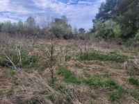 Лот: 25403459. Фото: 11. 3-комн. дом , село Галанино улица...