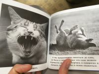 Лот: 11964278. Фото: 5. Бредли Грив "Смысл жизни".