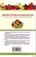 Лот: 15421836. Фото: 2. Жукова Татьяна (составитель) -... Наука и техника